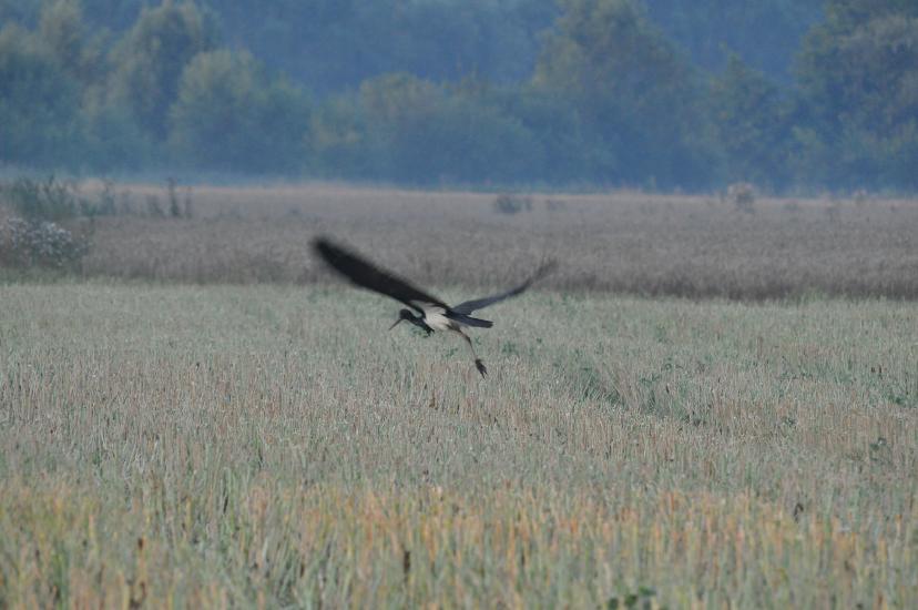 2010_07_31_163_Urlaub