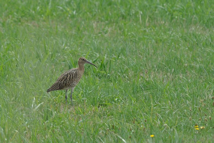 2010_07_31_485_Urlaub