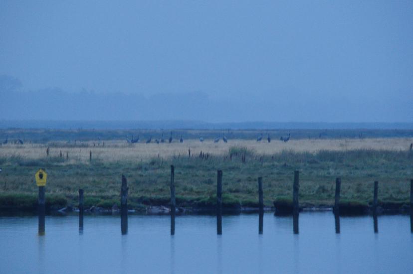 2010_08_15_Zingst (586)