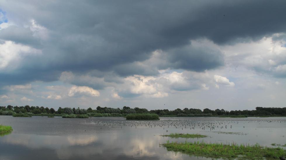 2010_08_21_RieselfelderG10