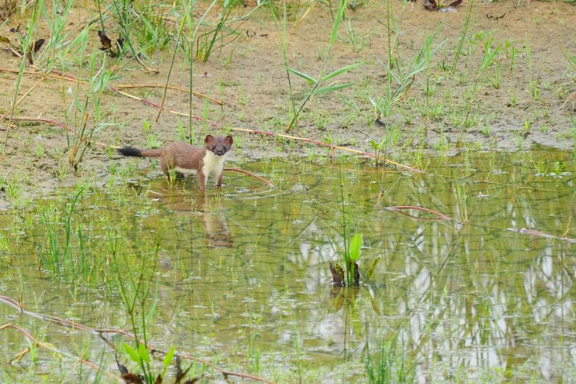 2010_08_22_172_Bruch