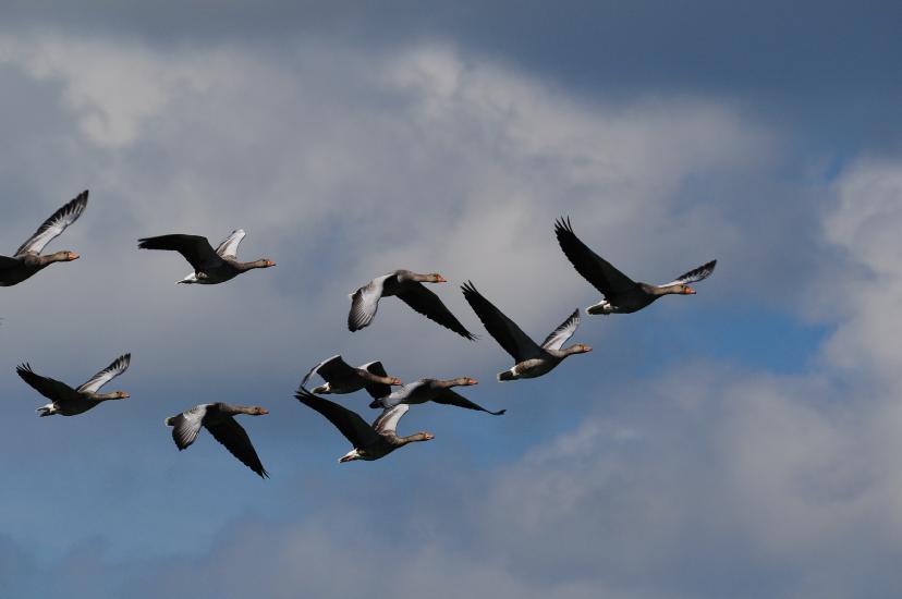 2010_09_05_476_Bruch