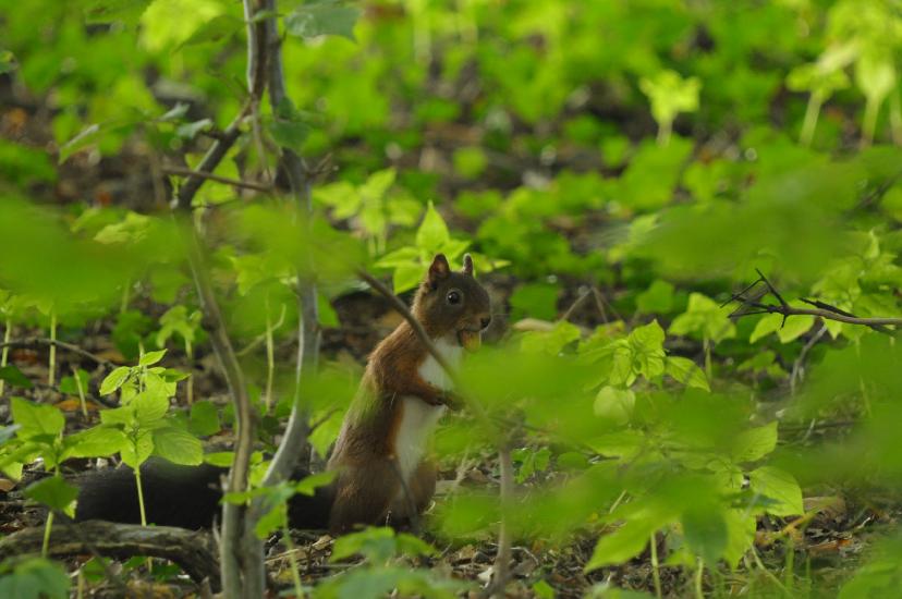 2010_09_26_394_Bruch