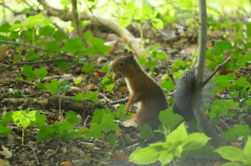 2010_09_26_402_Bruch