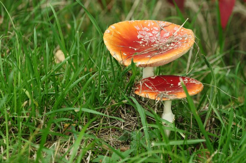 2010_10_02_50_BruchMakro