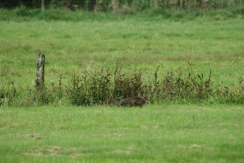 2010_10_02_63_BruchII