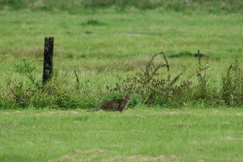 2010_10_02_67_BruchII