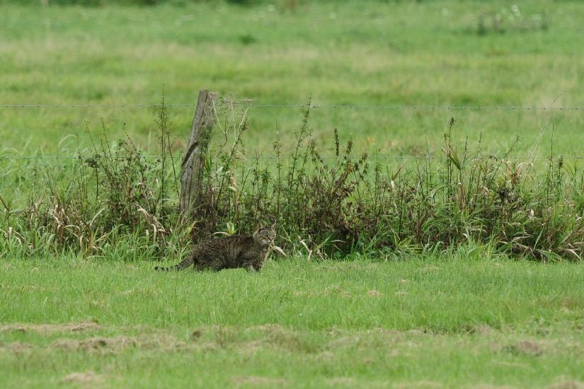 2010_10_02_73_BruchII