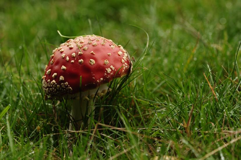 2010_10_07_311_HoheMarkM