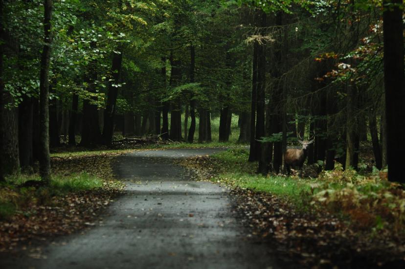 2010_10_07_45_HoheMarkM