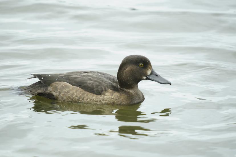 2010_10_16_231_Rieselfelder