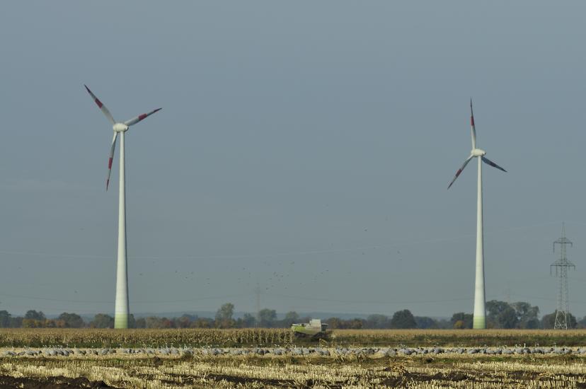 2010_10_26_183_KranicheMacro