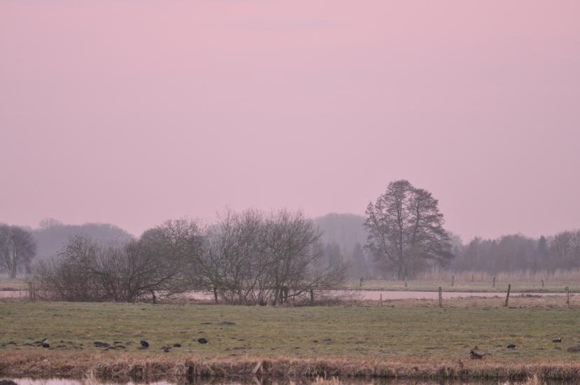 2011_02_26_014_Bruch300