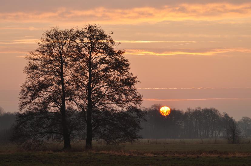 2011_02_26_069_Bruch300