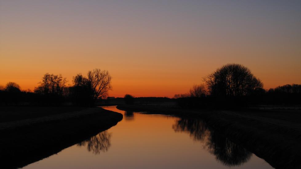 2011_03_07_0008_DiverseG10