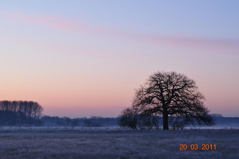 2011_03_20_0002_Bruch500