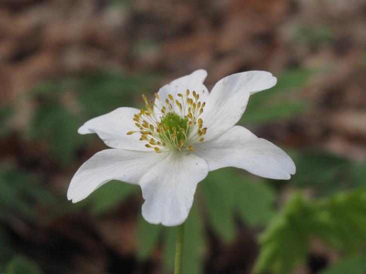 2011_04_06_0194_Digiskopie