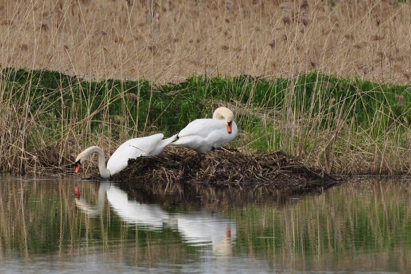 2011_04_16_0412_Rieselfelder