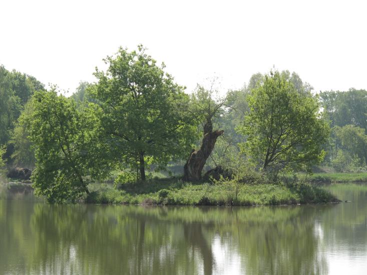 2011_05_04_0095_Tschechien