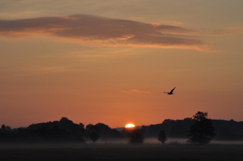 2011_05_15_0050_DiverseMai