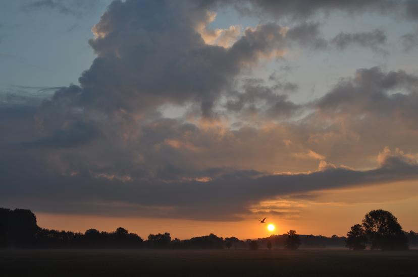 2011_05_15_0087_DiverseMai