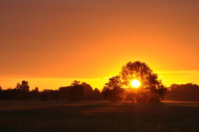 2011_05_28_0078_Landschaft