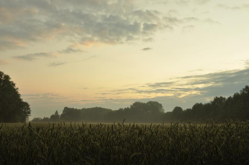 2011_06_12_0160_Pfingsten