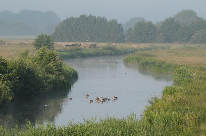 2011_06_12_1099_Bruch