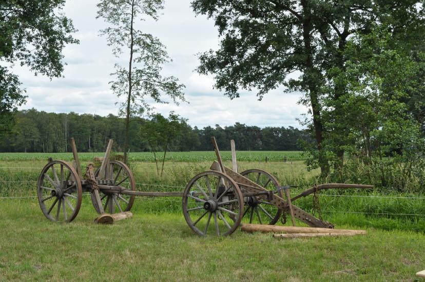 2011_06_13_0312_Pfingsten