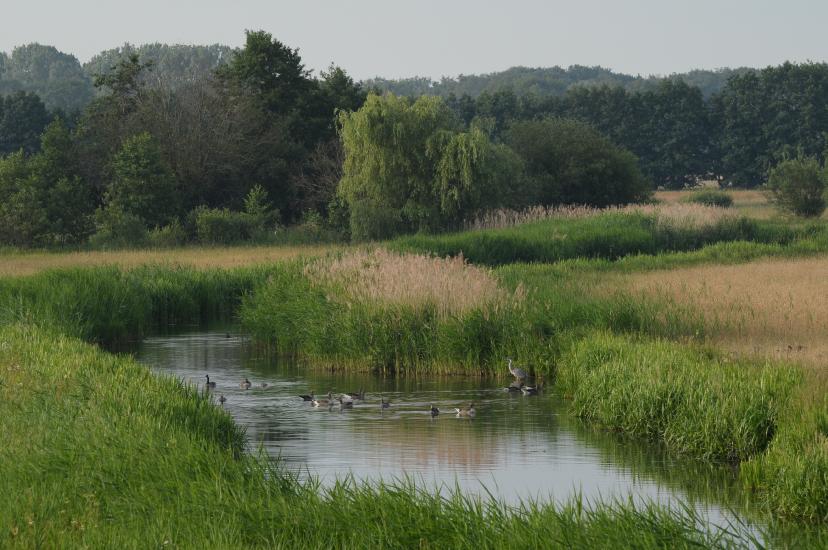 2011_06_13_1324_Bruch