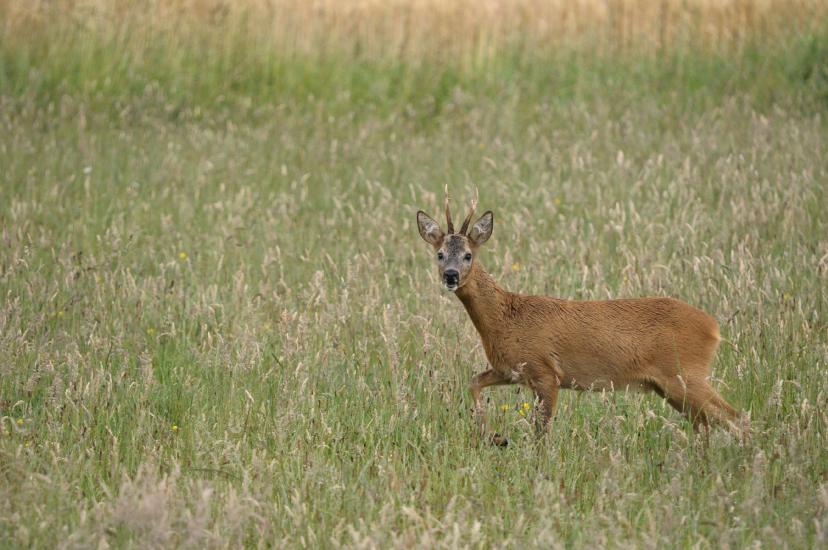 2011_06_19_0063_Streckenfotos