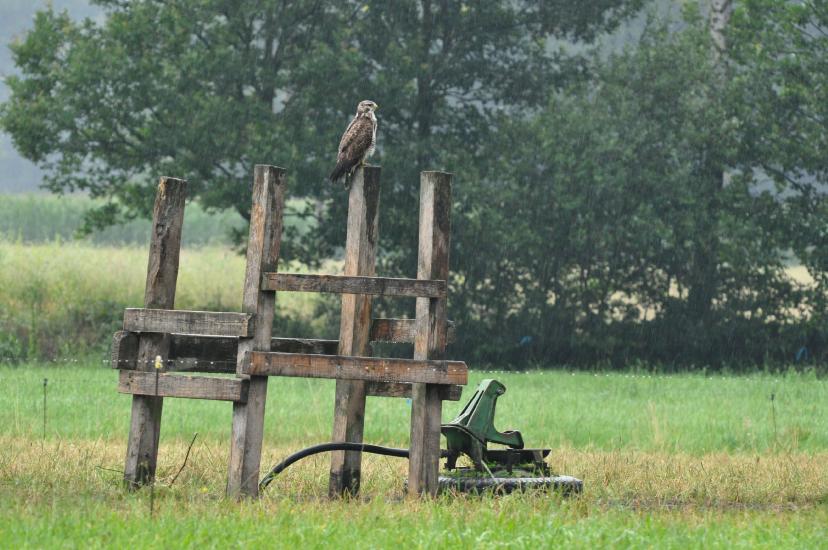 2011_07_17_0080_Bruch