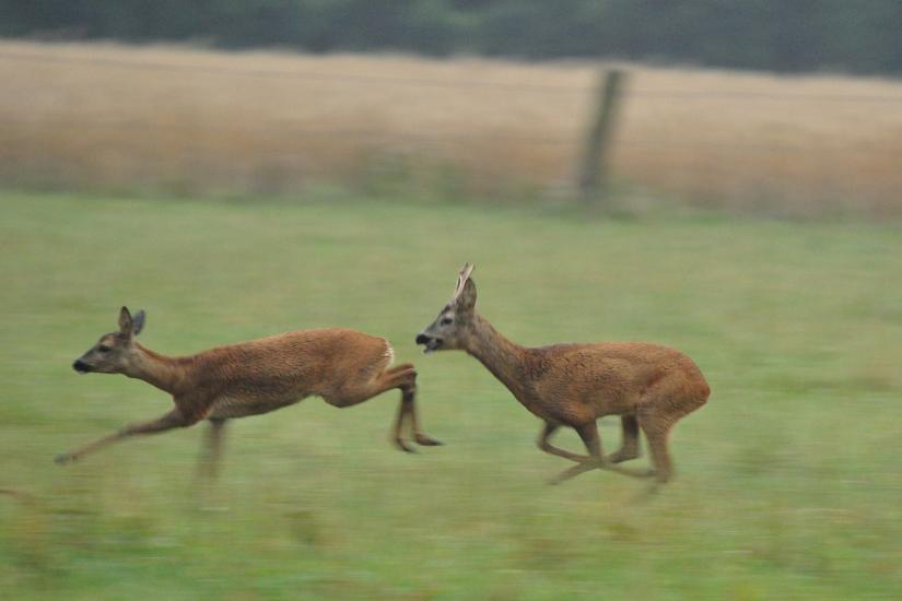 2011_07_30_0007_Bruch