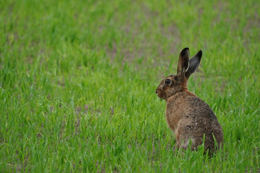 2011_07_31_0297_Bruch