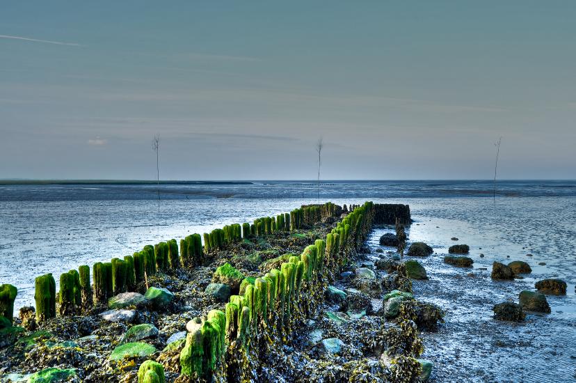 2011_08_17_0294_CuxLandschaftAnd2more_tonemapped