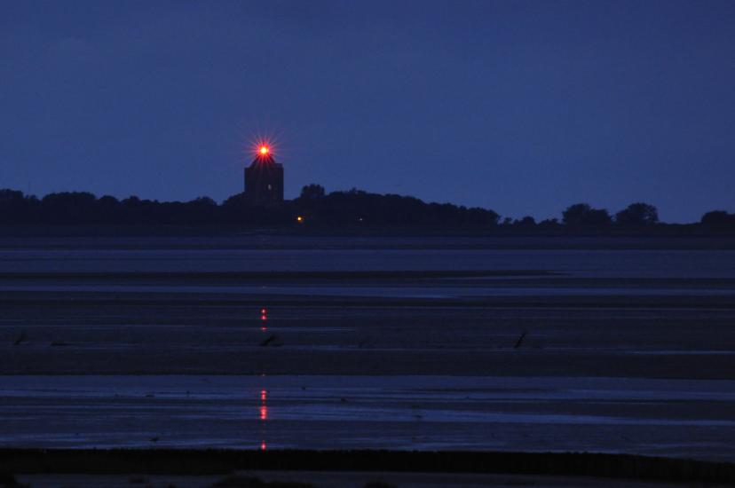 2011_08_23_Cux (166)