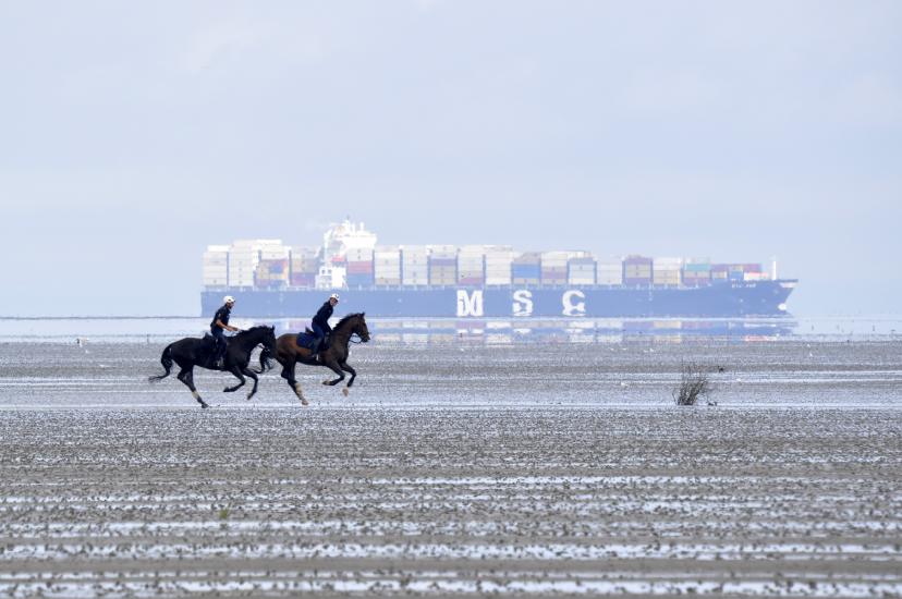 2011_08_23_Cux (168)