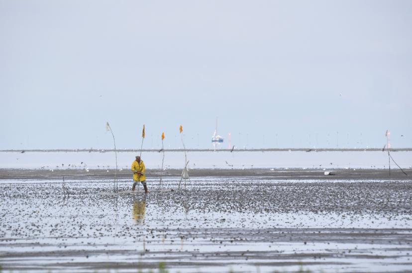 2011_08_23_Cux (172)