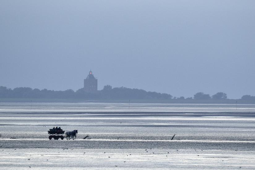 2011_08_23_Cux (207)