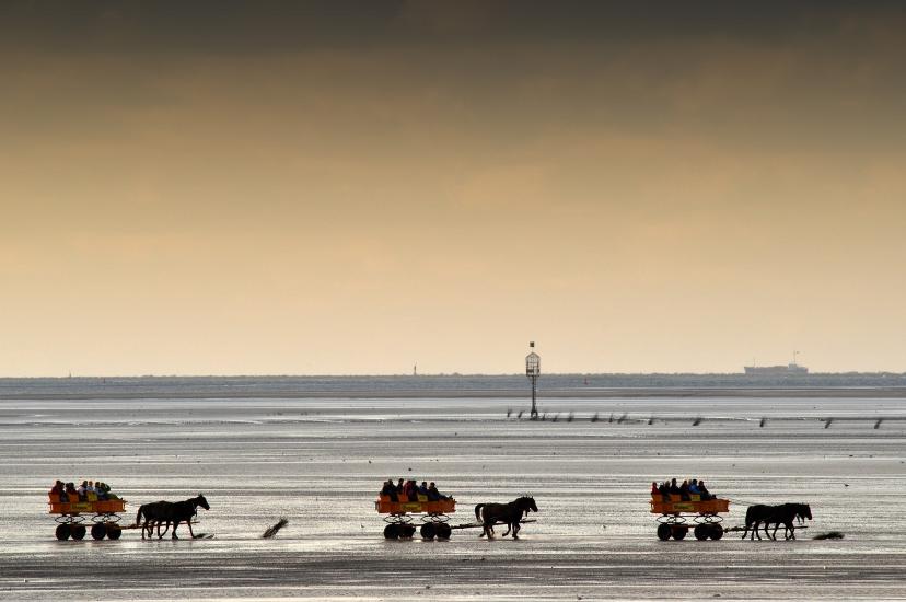 2011_08_23_Cux (247)