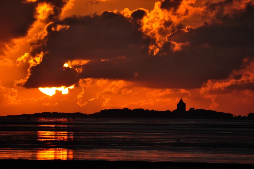 2011_08_23_Cux (253)