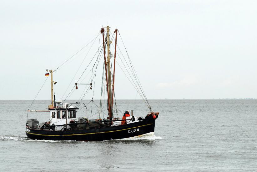 2011_08_23_Cux (274)