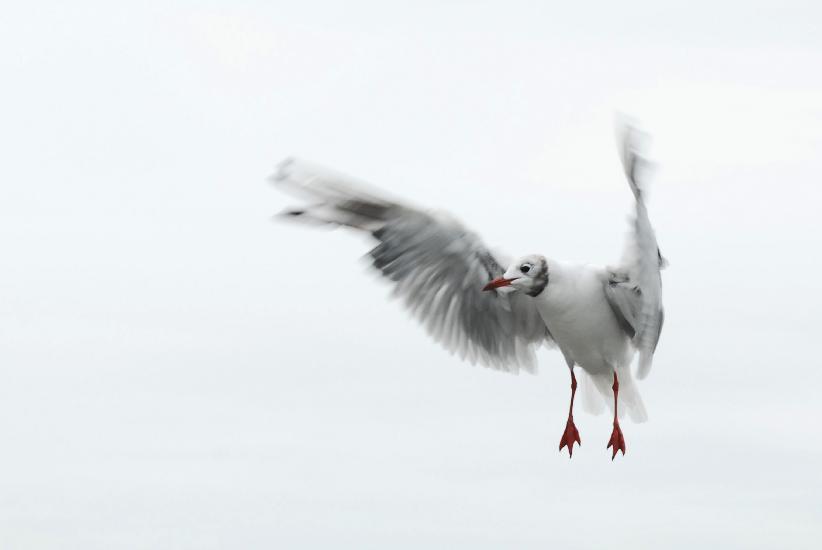 2011_08_23_Cux (277)