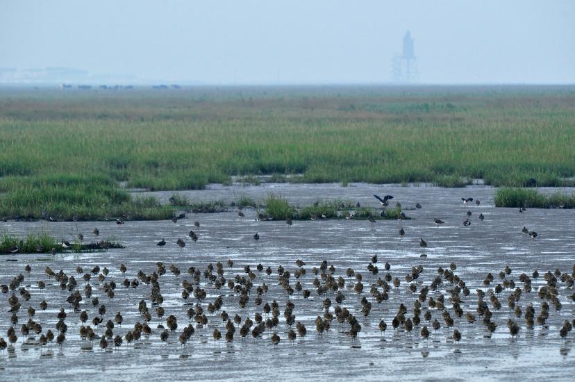 2011_08_23_Cux (293)