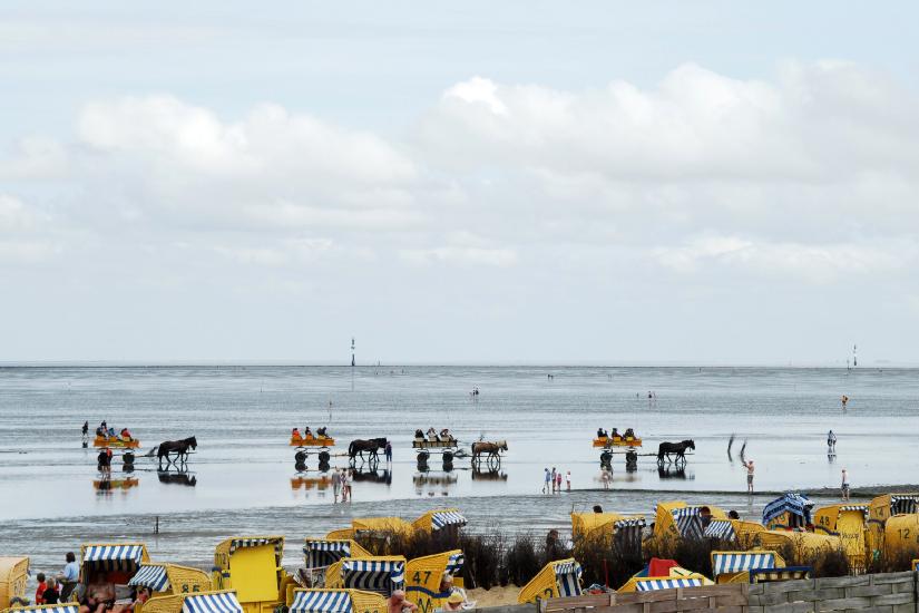 2011_08_23_Cux (370)