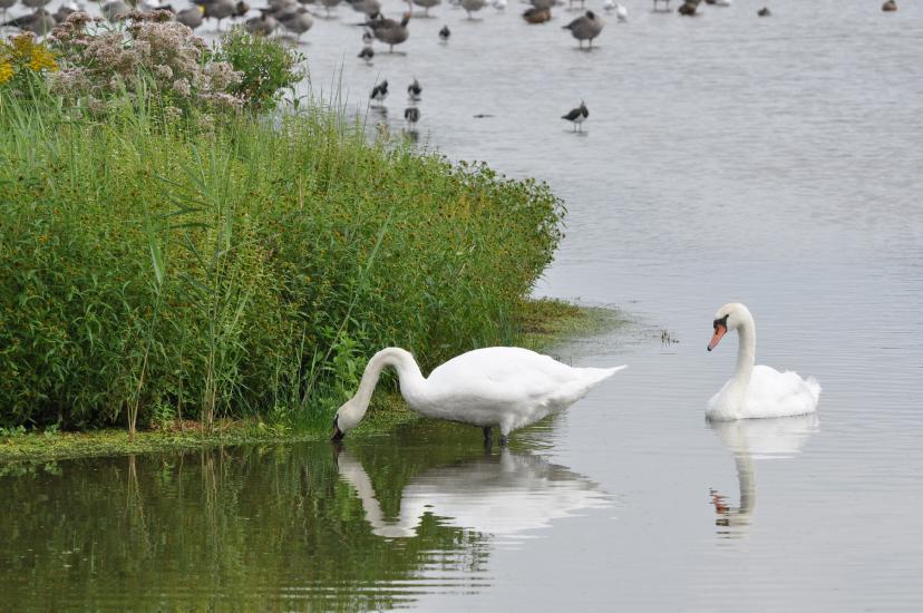 2011_08_27_0529_Rieselfelder