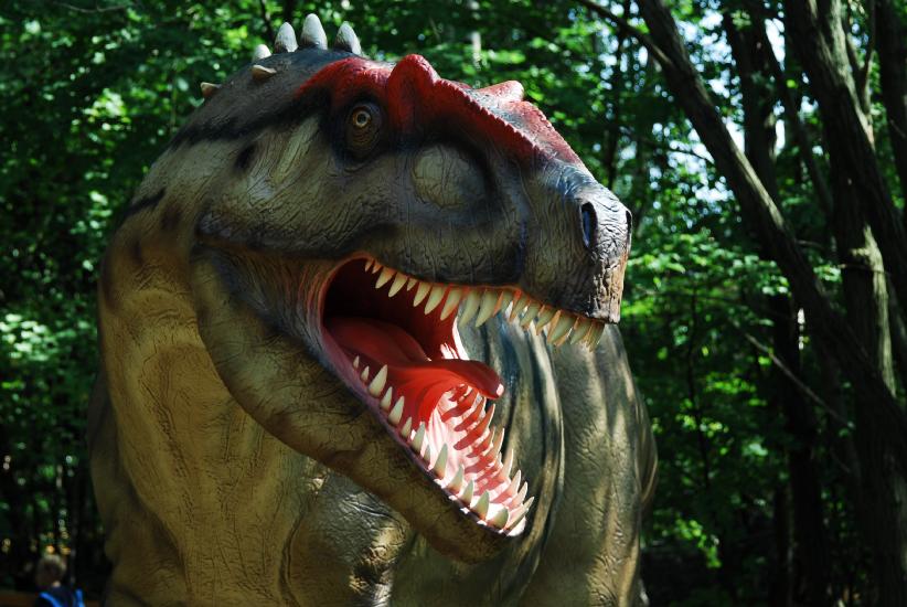 2011_09_02_0539_Dinopark