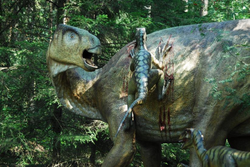 2011_09_02_0679_Dinopark