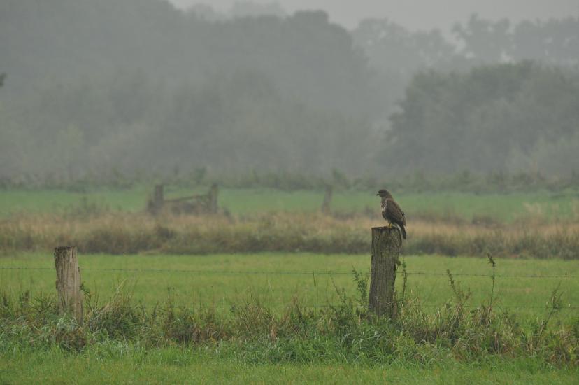 2011_09_09_0475_Bruch