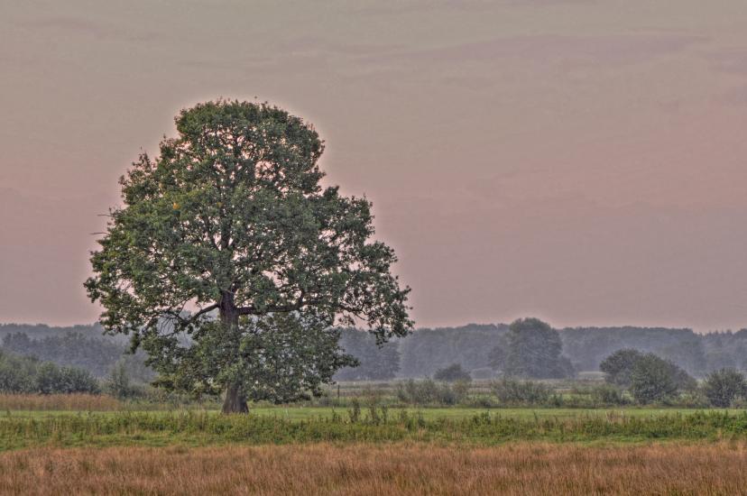 2011_09_17_0027_HDR_TONEMAPPED